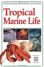 tropical marinelife
